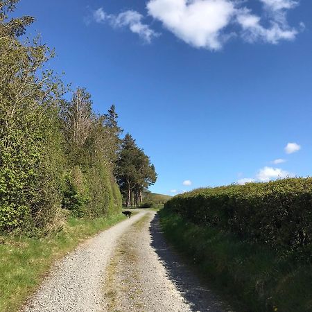 Chic Cottage Near Elan Valley And Builth Wells Llanwrthwl Zewnętrze zdjęcie