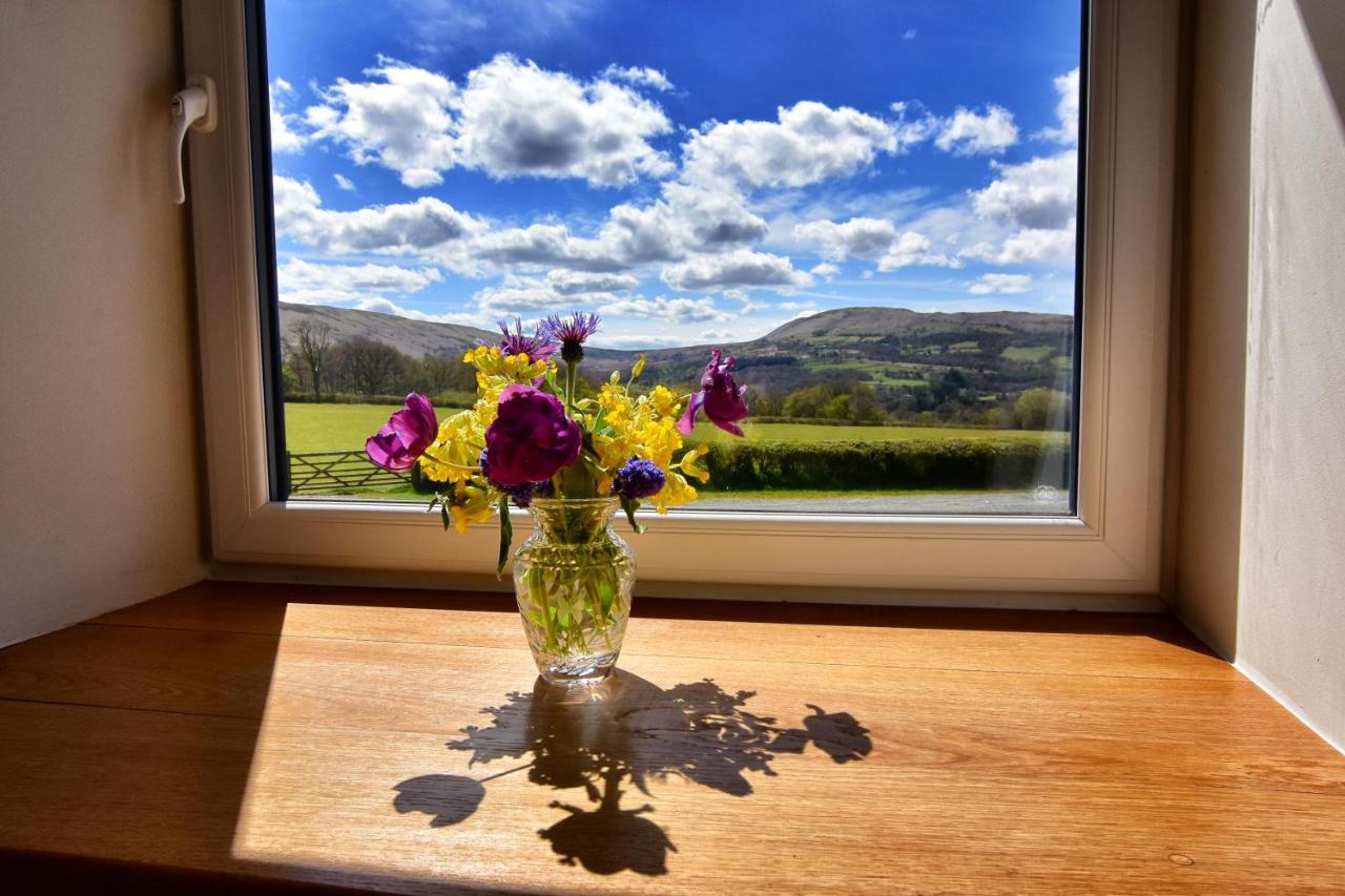 Chic Cottage Near Elan Valley And Builth Wells Llanwrthwl Zewnętrze zdjęcie
