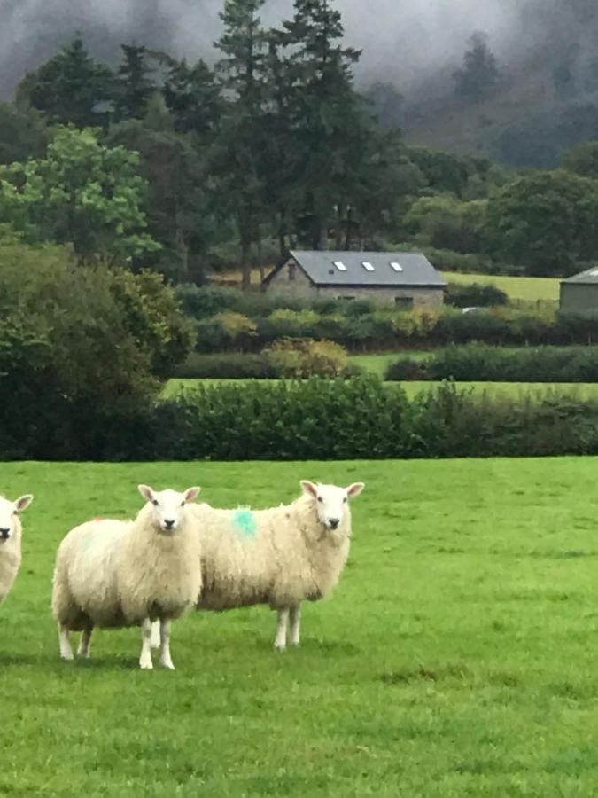 Chic Cottage Near Elan Valley And Builth Wells Llanwrthwl Zewnętrze zdjęcie